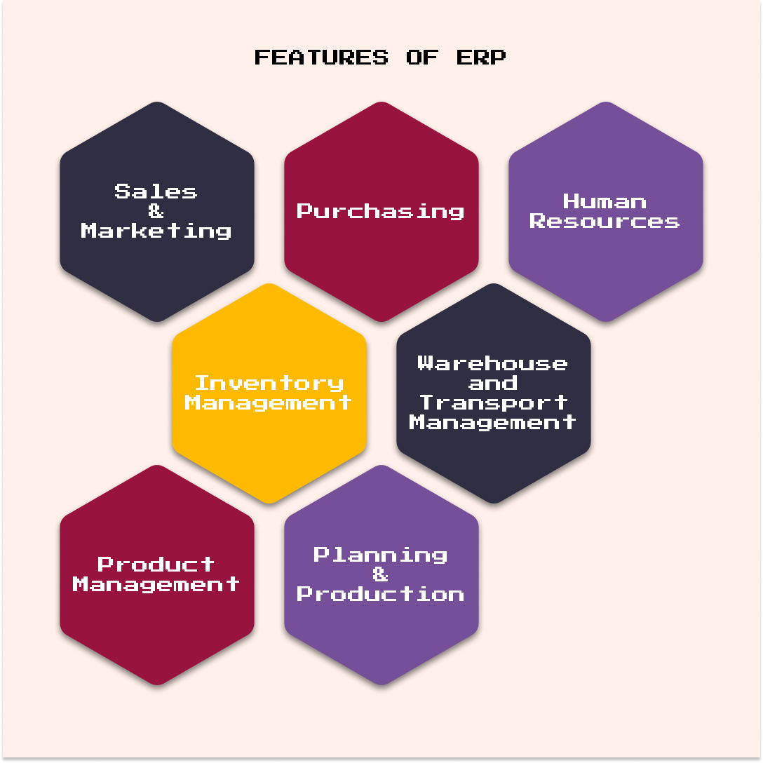 ERP Features